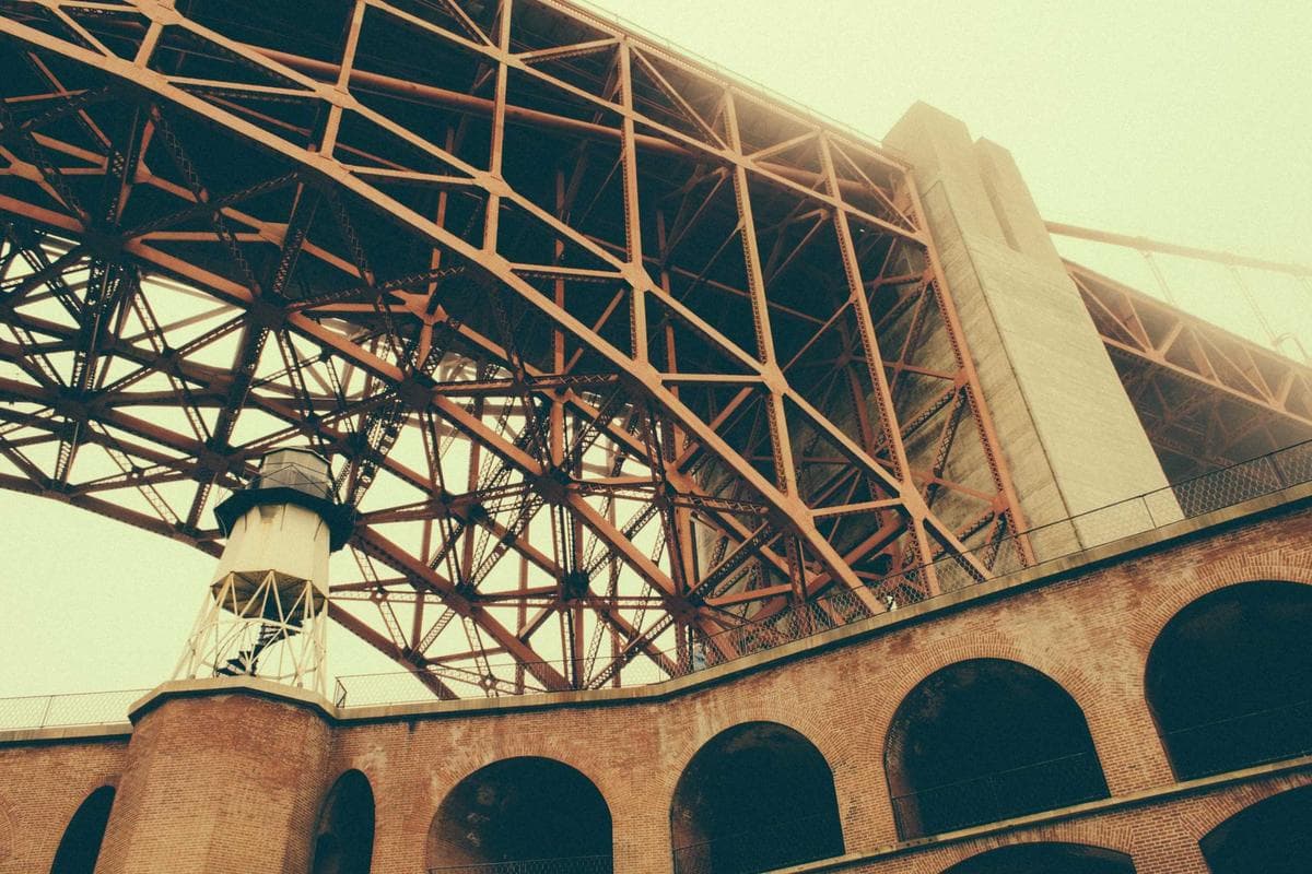 Lomi Studios — photo 3